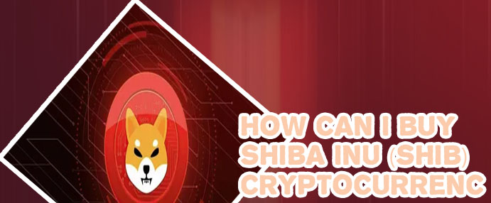 Buy shiba inu crypto