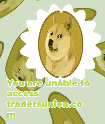 Can you make money on dogecoin