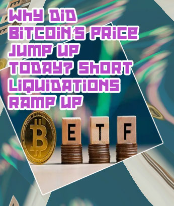 Crypto up today