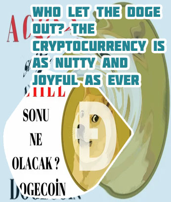 Cryptocom doge