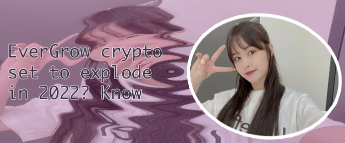 Evergrow crypto price