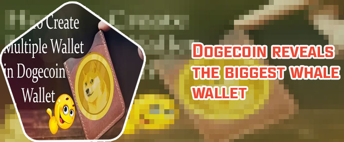 Top dogecoin wallets